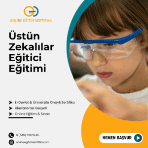 Üstün Zekalılar Eğitici Eğitimi