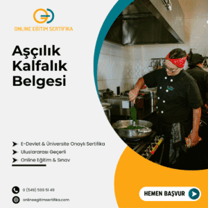 Aşçılık Kalfalık Belgesi