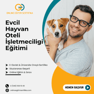 Evcil Hayvan Oteli İşletmeciligi Eğitimi