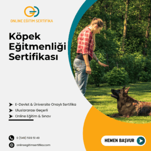 Köpek Eğitmenliği Sertifikası