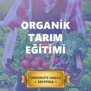 Organik Tarım Eğitimi Sertifikası