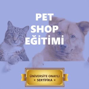 pet shop egitimi
