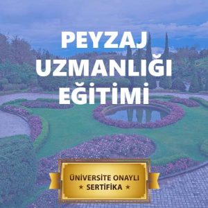 Peyzaj Uzmanlığı Sertifikası
