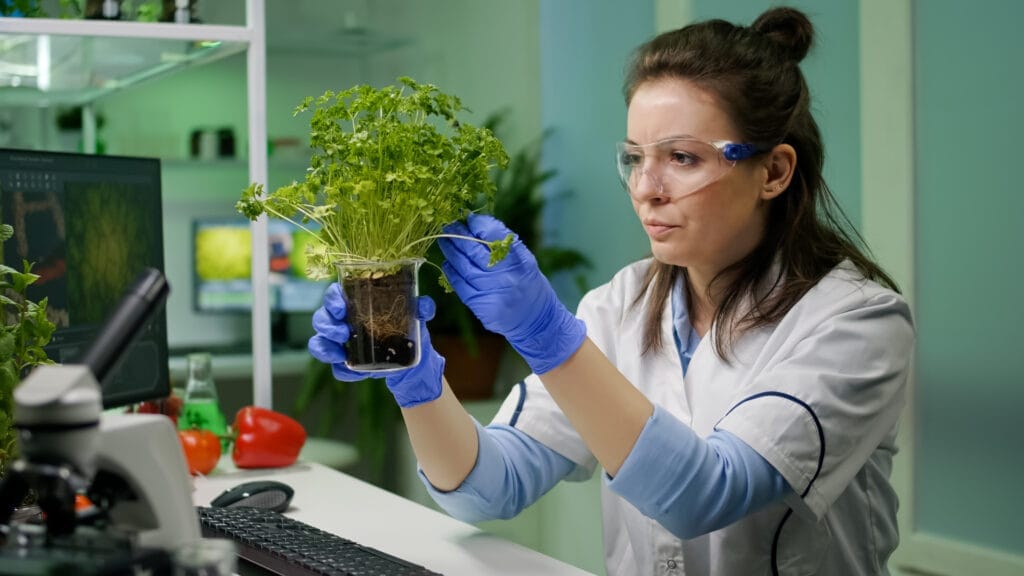 Tıbbi ve Aromatik Bitki Yetiştiriciliği Sertifikası Nasıl Alınır