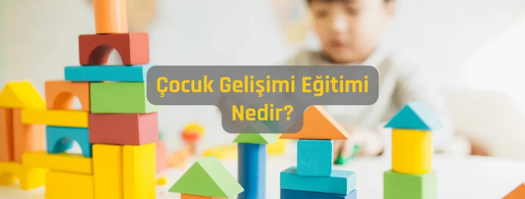 Çocuk Gelişimi Eğitimi Nedir??