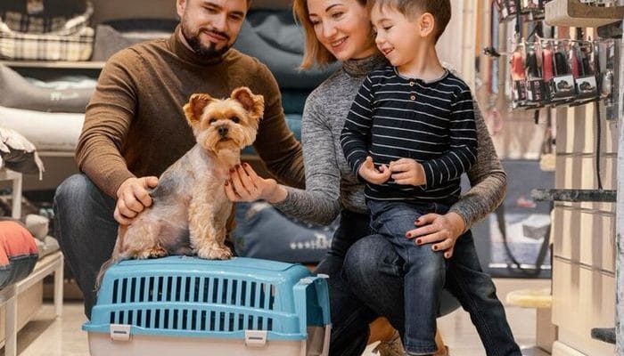 Petshop Sertifikası Nereden Alınır?