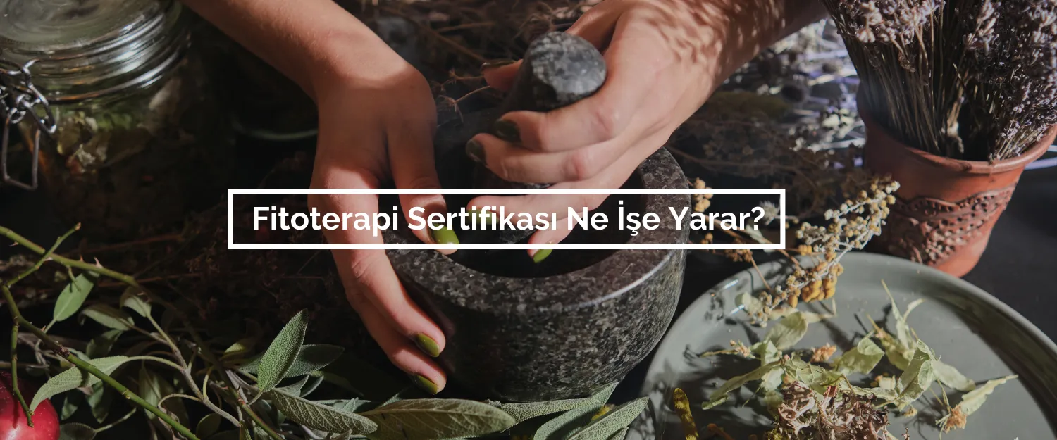 Fitoterapi Sertifikası Ne İşe Yarar?