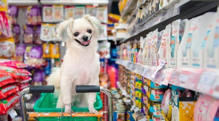 Pet Shop Eğitim Sertifikası