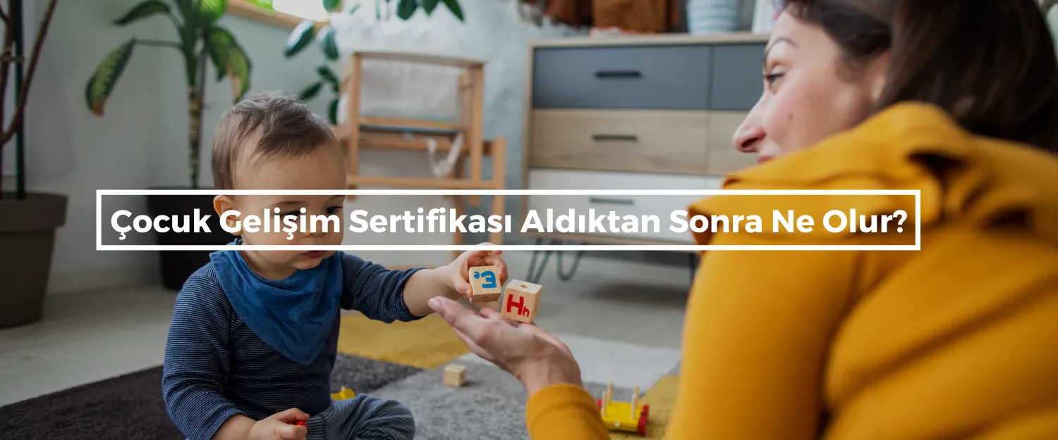 Çocuk Gelişim Sertifikası Aldıktan Sonra Ne Olur?