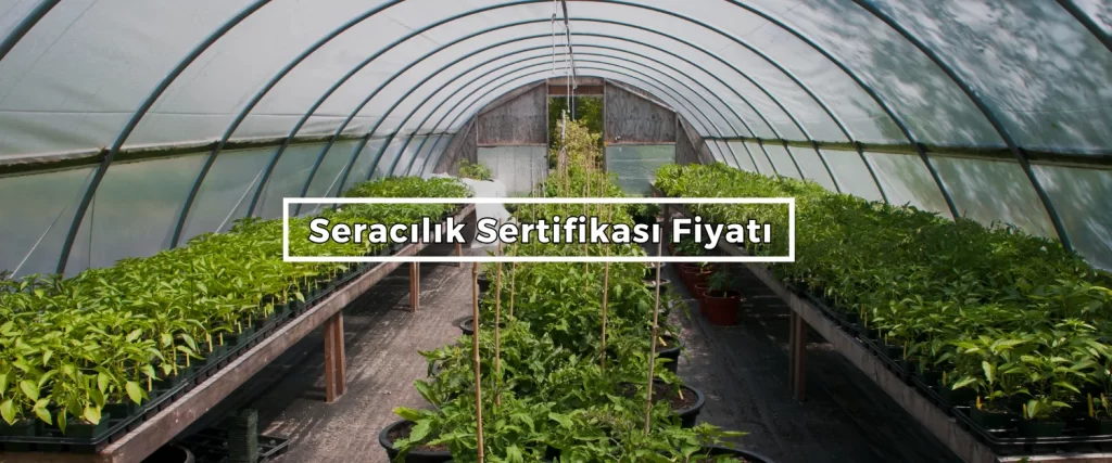 Seracılık Sertifikası Nasıl Alınır