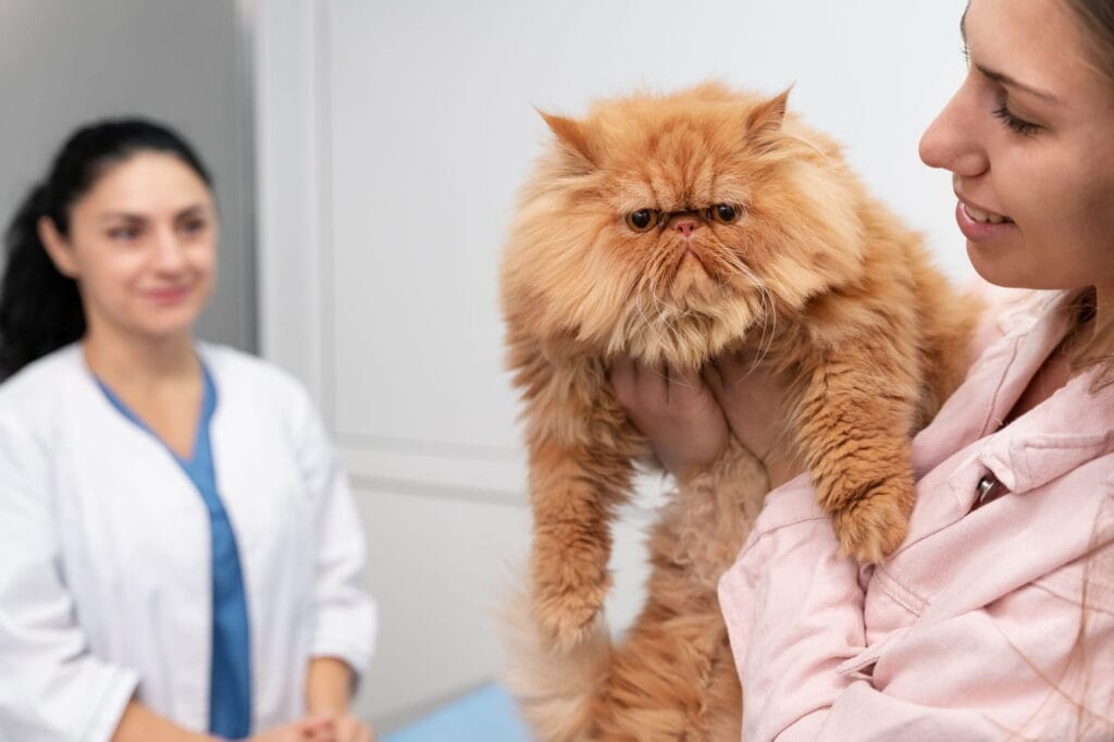 Pet Kuaför Eğitimi
