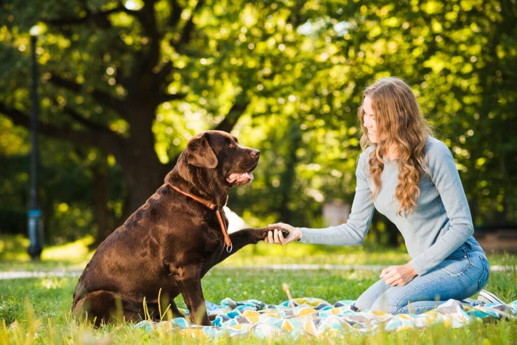 Köpek Eğitmeni Nasıl Olunur
