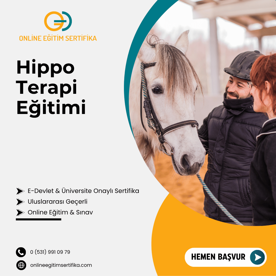 Hippo Terapi Eğitimi