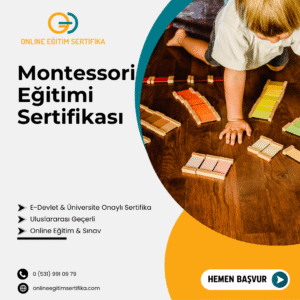 Montessori Eğitimi Sertifikası