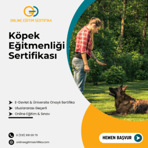 Köpek Eğitmenliği Sertifikası
