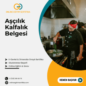 Aşçılık Kalfalık Belgesi